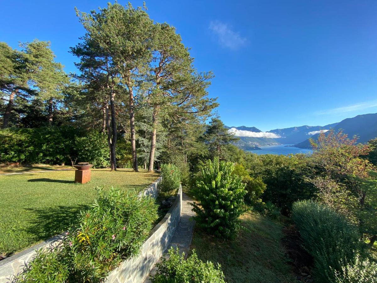 Studio - Villa Cardano โกโม ภายนอก รูปภาพ