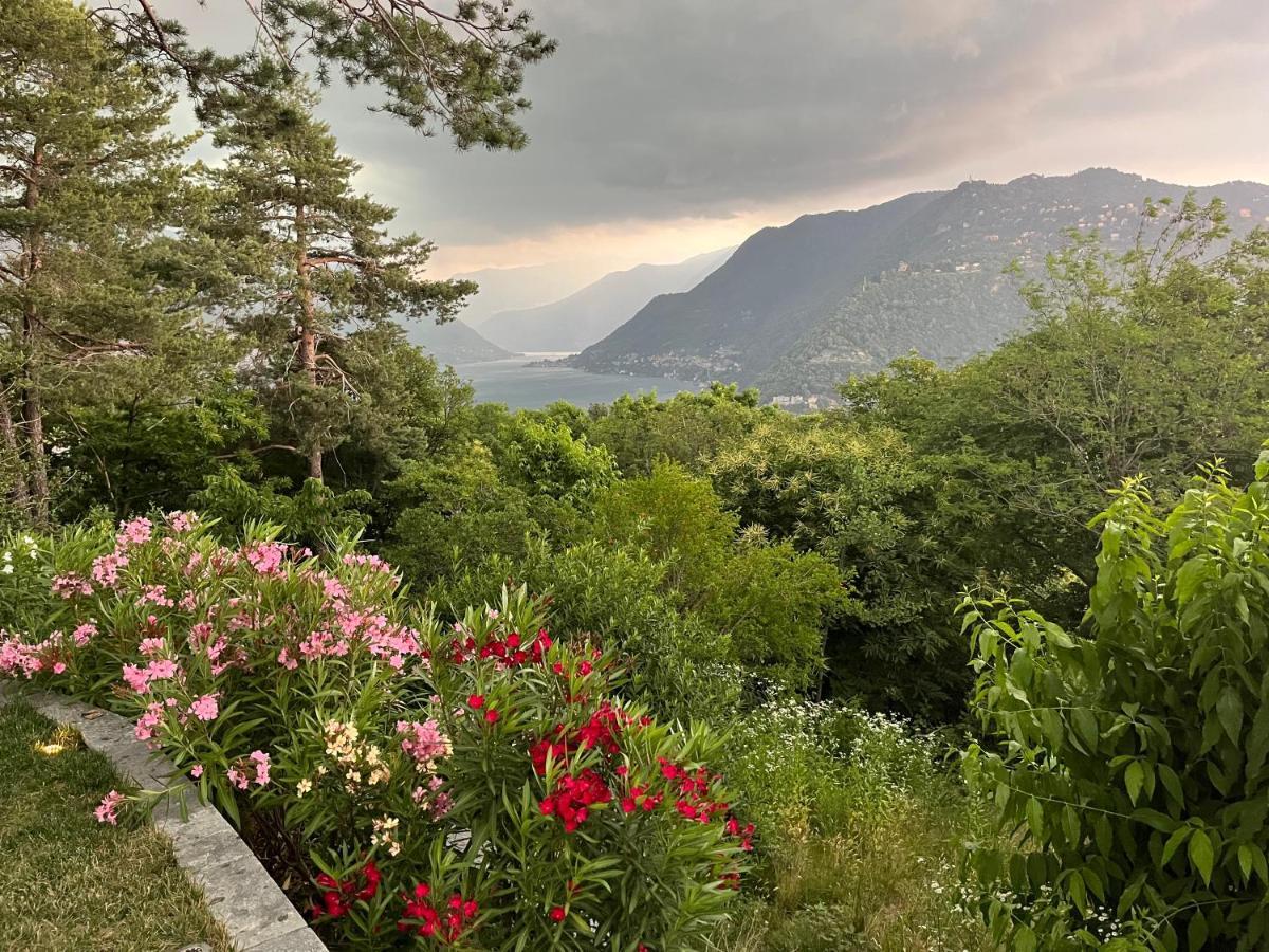 Studio - Villa Cardano โกโม ภายนอก รูปภาพ